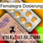 Femalegra Dosage 41